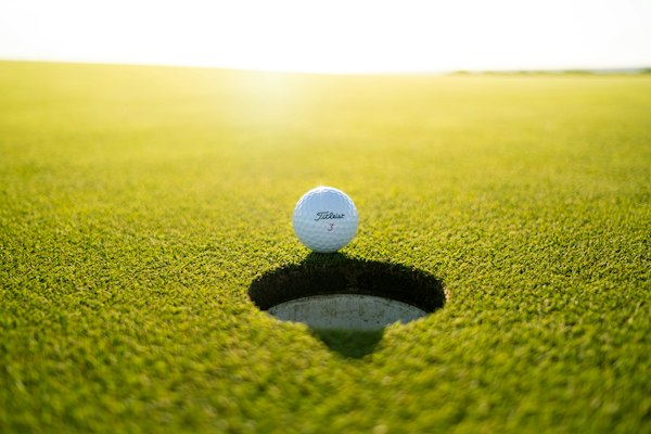 Links course